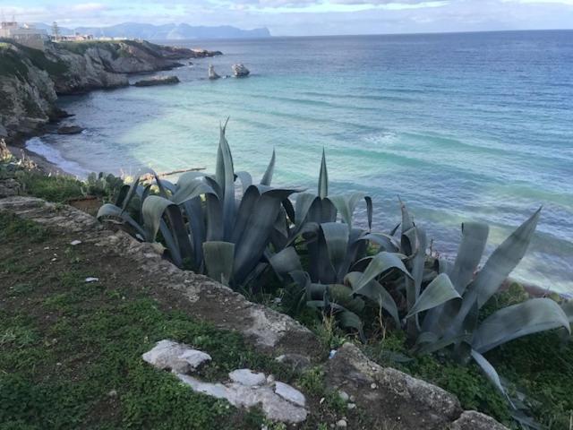 By The Sea Bed and Breakfast Terrasini Buitenkant foto